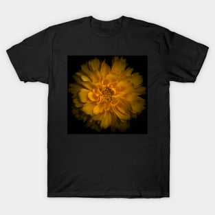 Backyard Flowers 79 Color Version T-Shirt